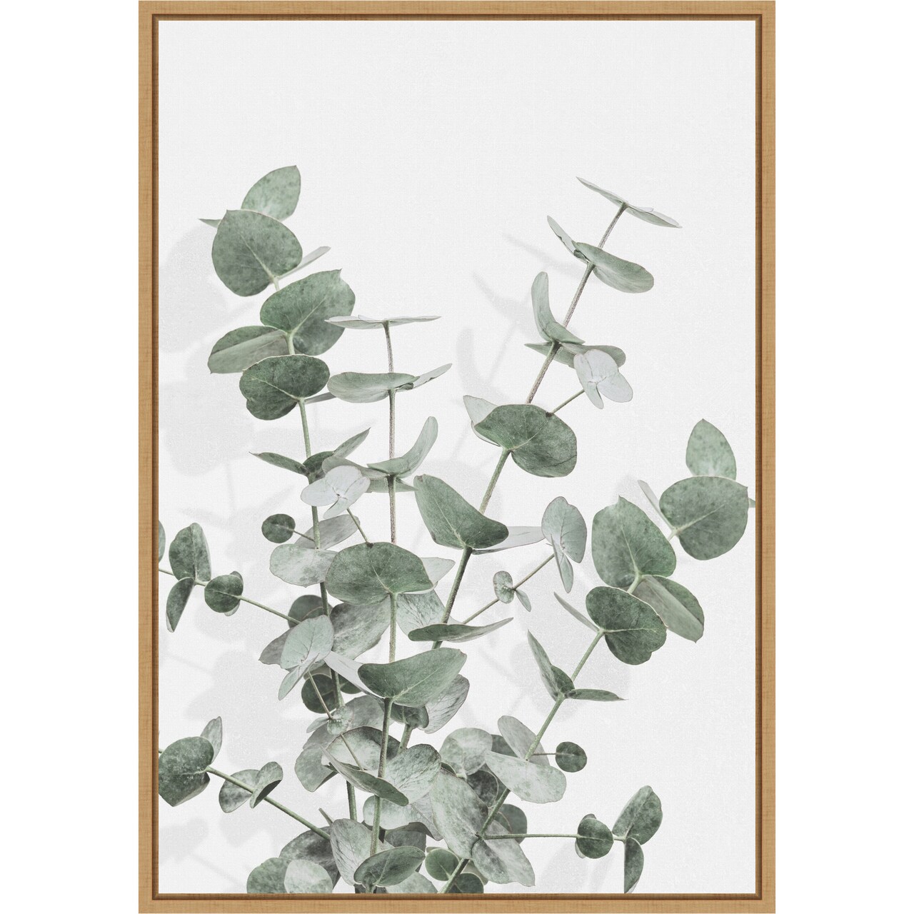 Eucalyptus Creative 16 by Pictufy Studio III Framed Canvas Wall Art